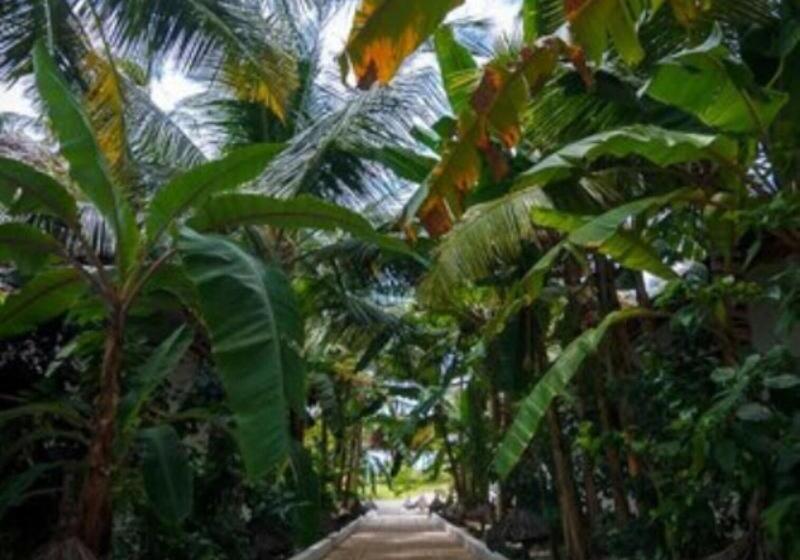 Fotos del hotel Blue Moon Resort:  19