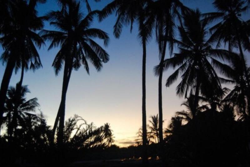 Fotos del hotel Blue Moon Resort:  16