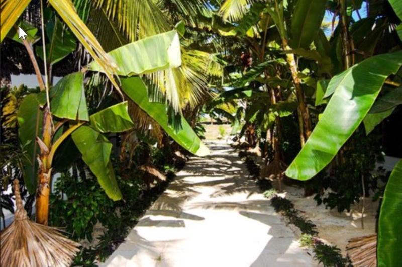 Fotos del hotel Blue Moon Resort:  4