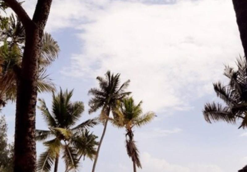 Fotos del hotel Blue Moon Resort:  14