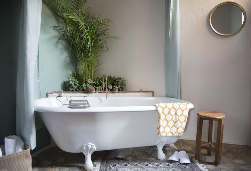 Fotos del hotel Casa Maria Paz Hotel Boutique:  3