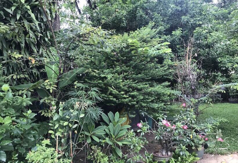 Fotos del hotel V20 Boutique Jacuzzi   Sha Extra Plus:  7