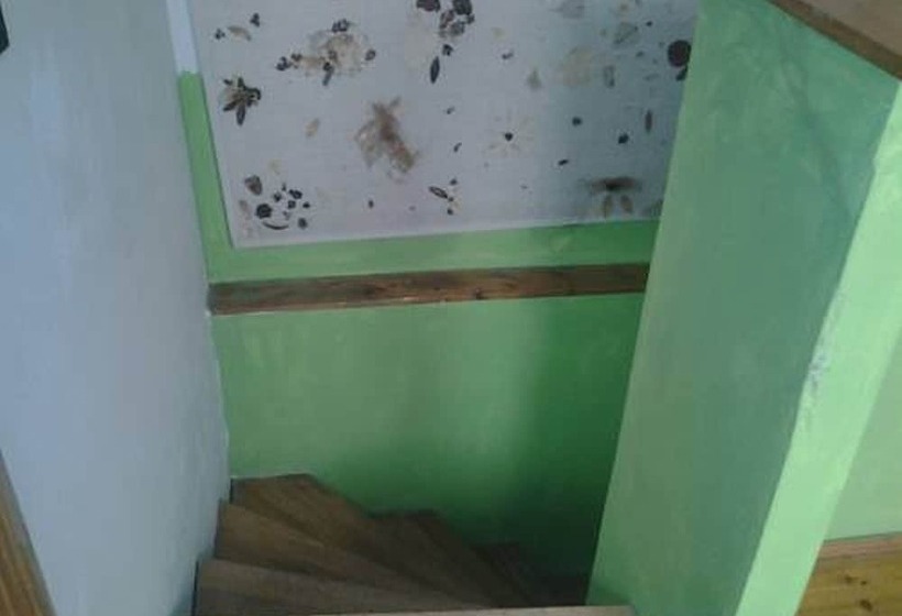 Fotos del hotel Amiga Hostel:  16