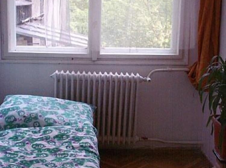 Fotos del hotel Amiga Hostel:  7