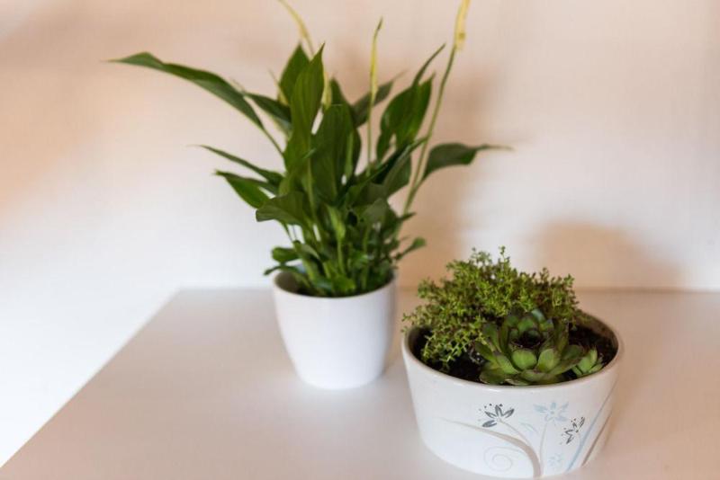 Fotos del hotel Apartments Martecchini:  15