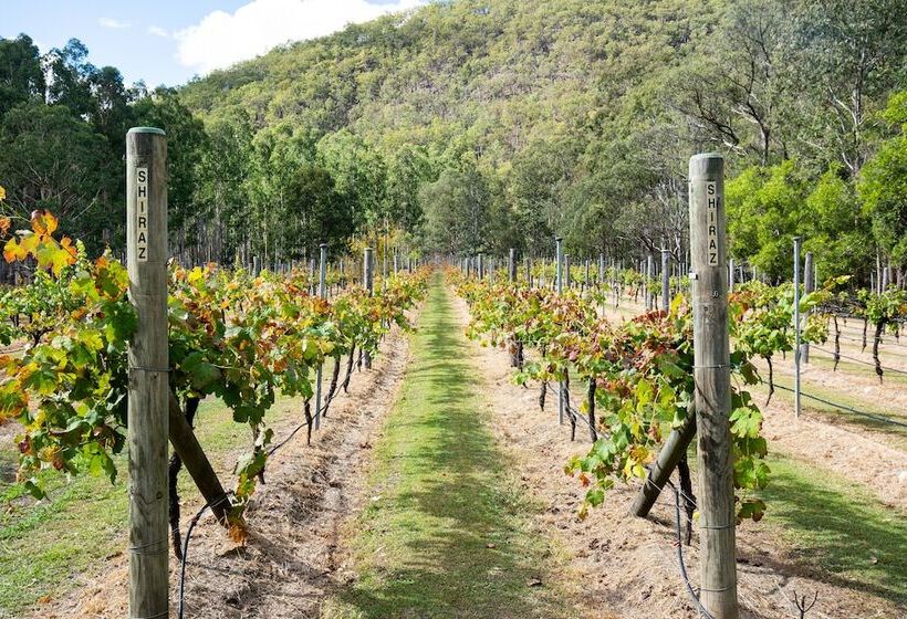 Fotos del hotel Barney Creek Vineyard Cottages:  4