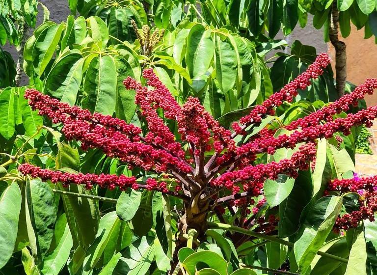 Fotos del hotel Casa Tierra Negra:  5