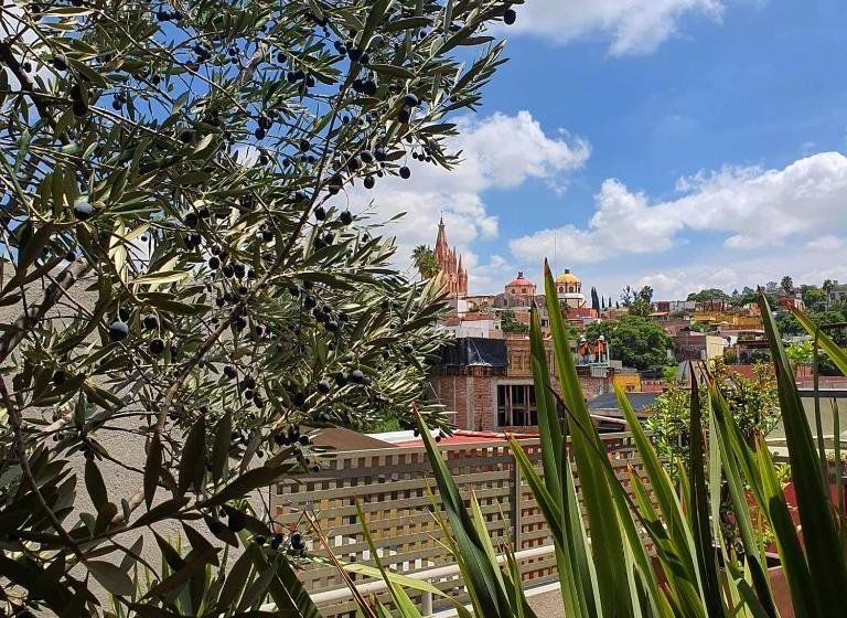 Fotos del hotel Casa Tierra Negra:  6