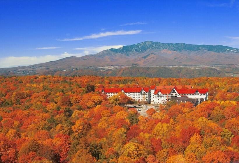 Fotos del hotel Green Plaza Karuizawa:  6