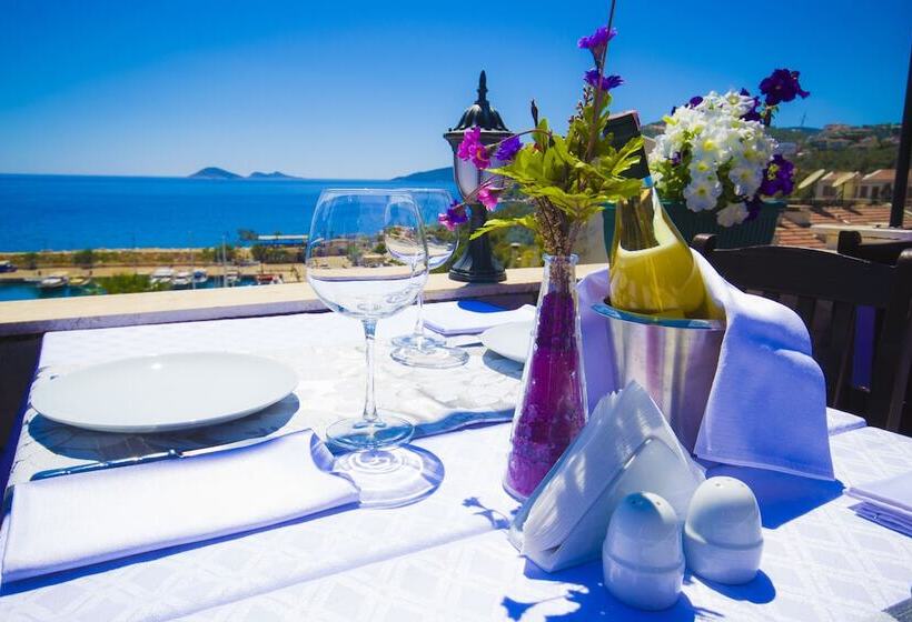 Fotos del hotel Kleo Pension:  14