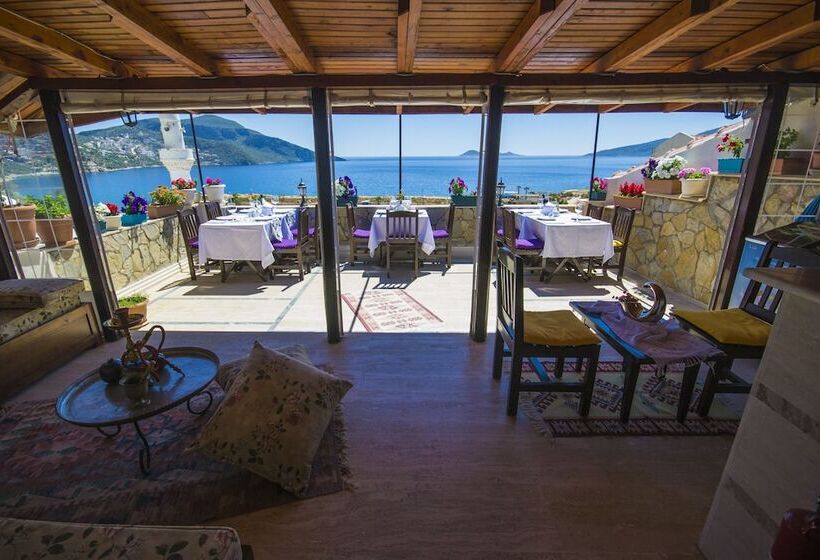 Fotos del hotel Kleo Pension:  3