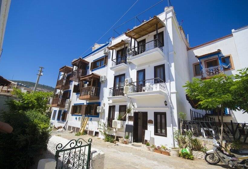 Fotos del hotel Kleo Pension:  24