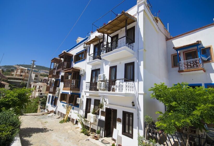 Fotos del hotel Kleo Pension:  22