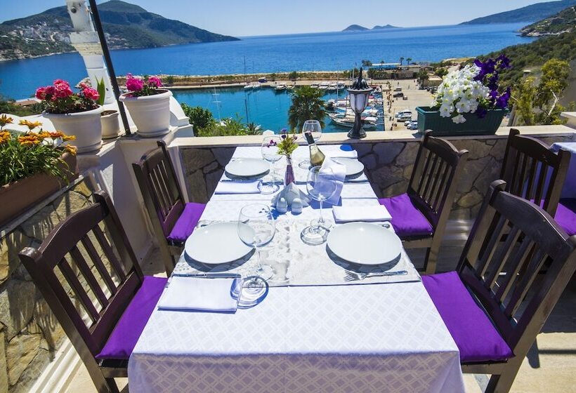 Fotos del hotel Kleo Pension:  9