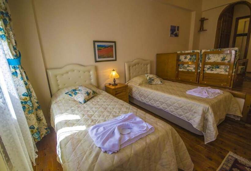 Fotos del hotel Kleo Pension:  23