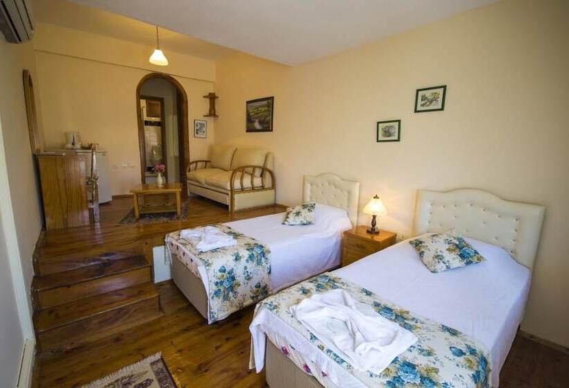 Fotos del hotel Kleo Pension:  17