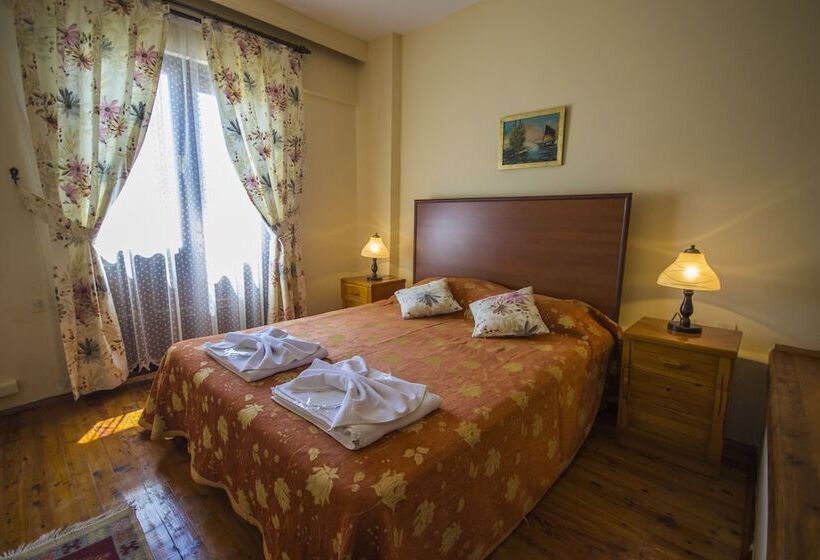 Fotos del hotel Kleo Pension:  21