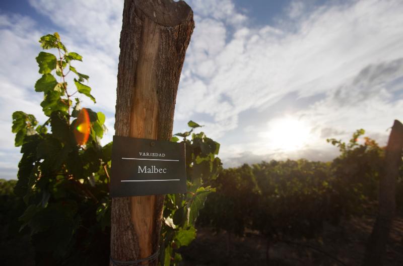 Fotos del hotel Rosell Boher Lodge:  3