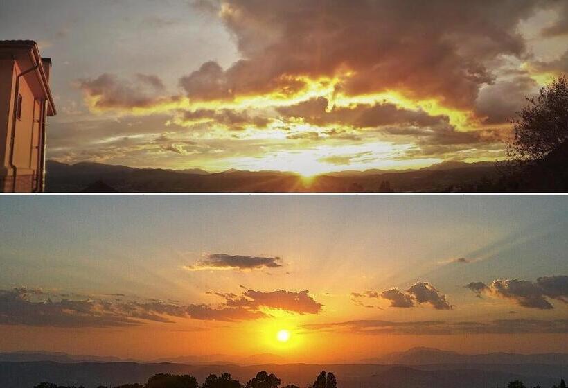 Fotos del hotel Arktos:  8