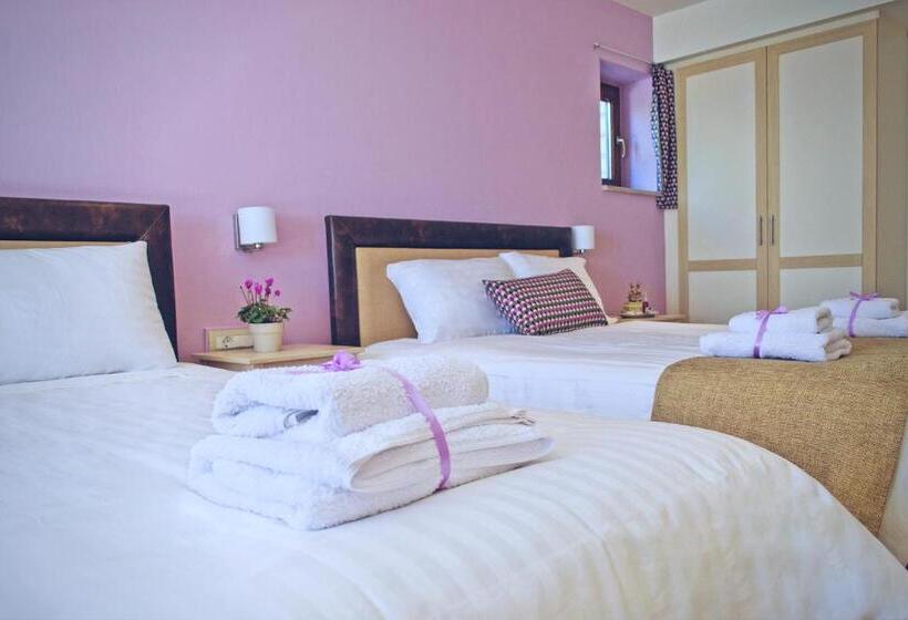 Fotos del hotel Arktos:  20