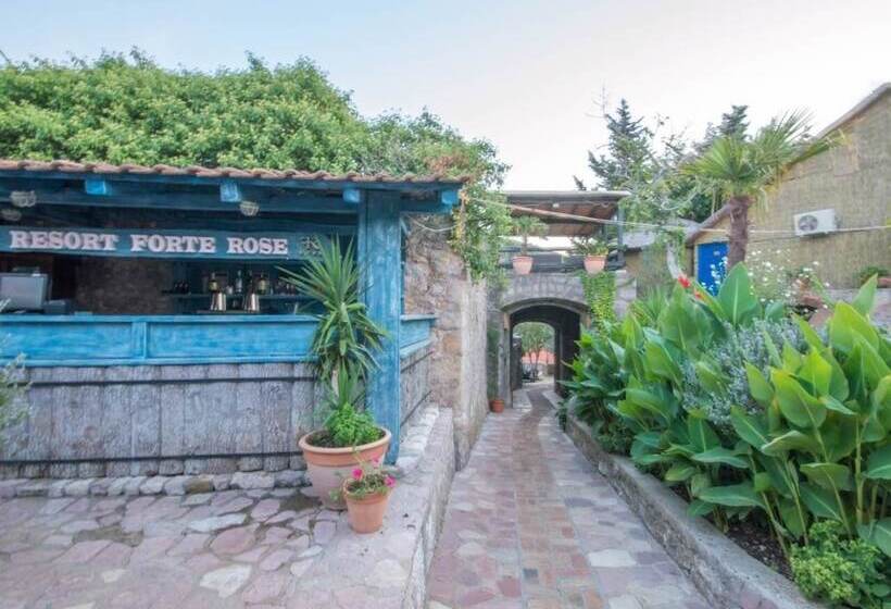 Fotos del hotel Forte Rose:  23