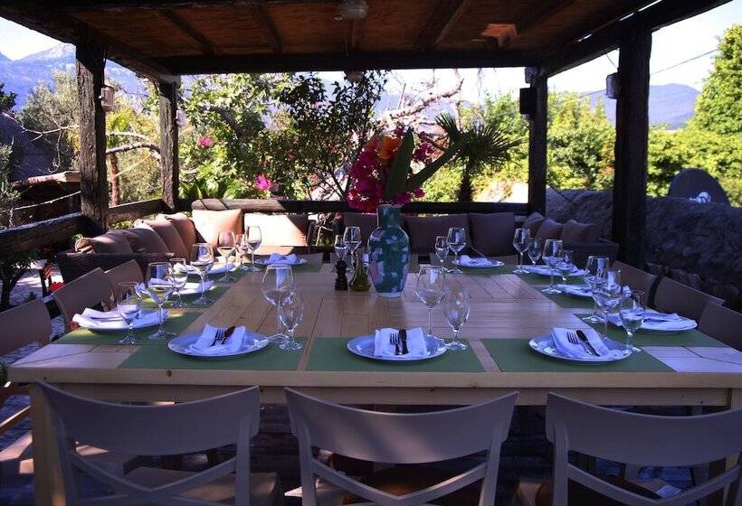 Fotos del hotel Forte Rose:  20