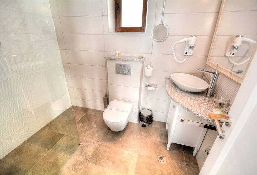 Fotos del hotel Forte Rose:  4