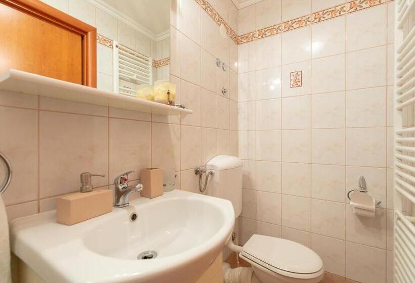 Fotos del hotel Apartments Mondo:  4