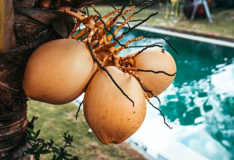 Fotos del hotel Bali Mynah Villas Resort:  8