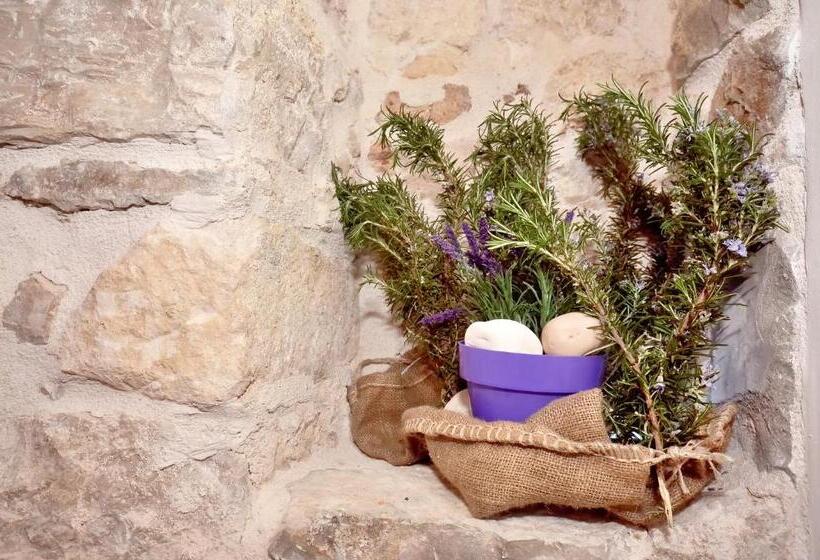 Fotos del hotel Rooms Vila Vilini Dvori:  5