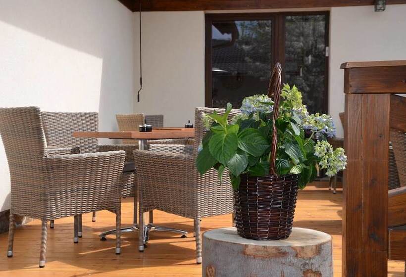 Fotos del hotel Penzión Darinka:  5