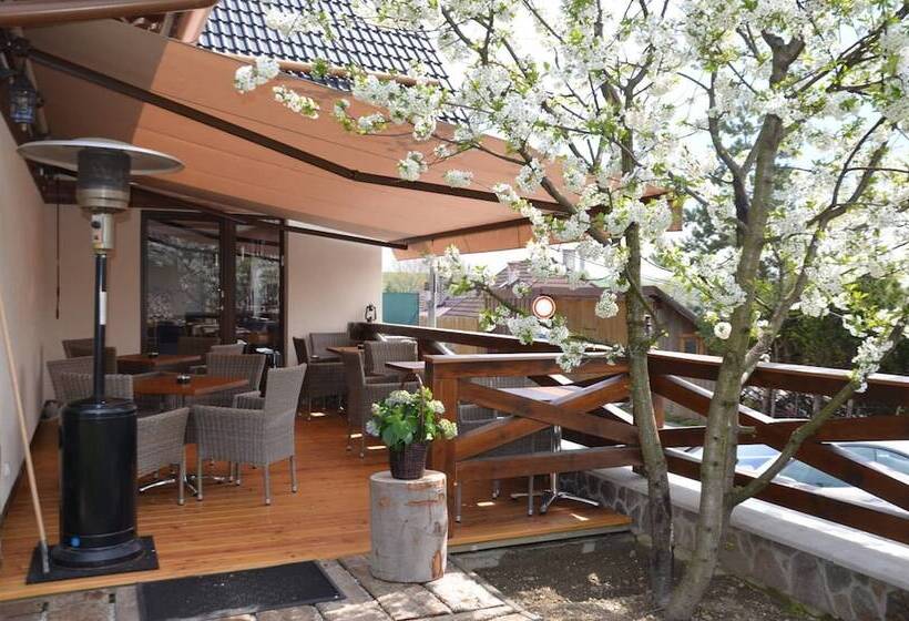 Fotos del hotel Penzión Darinka:  13