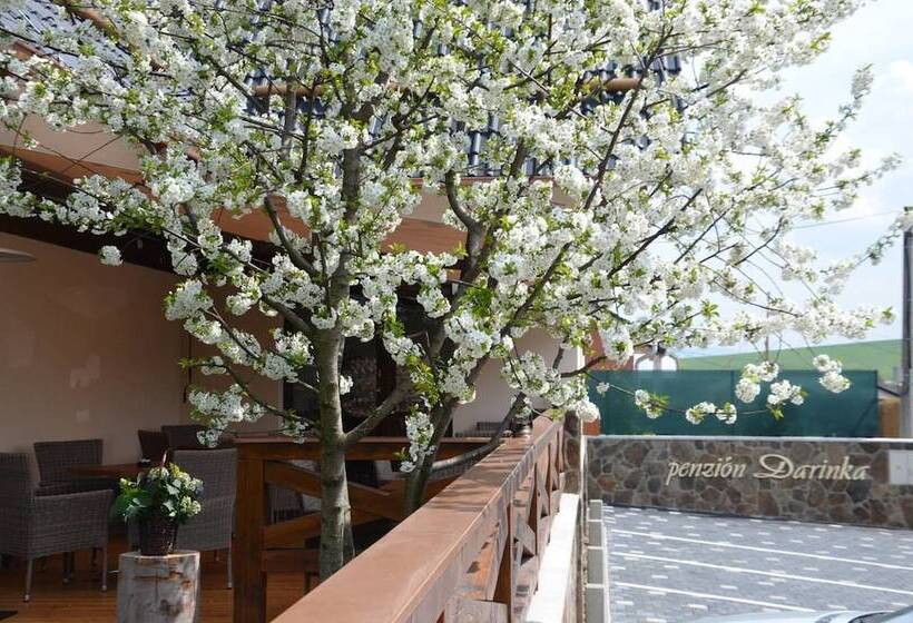 Fotos del hotel Penzión Darinka:  16