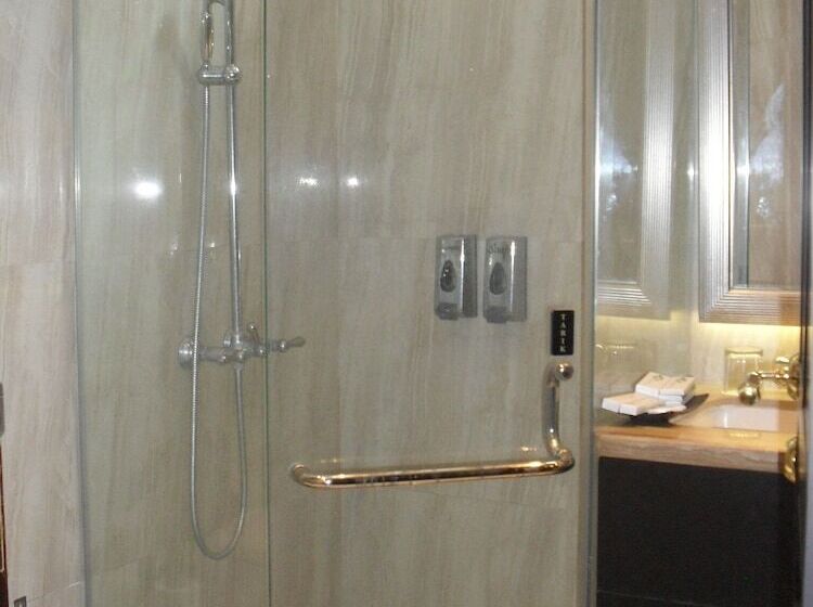 Fotos del hotel Liz Palace Inn:  9