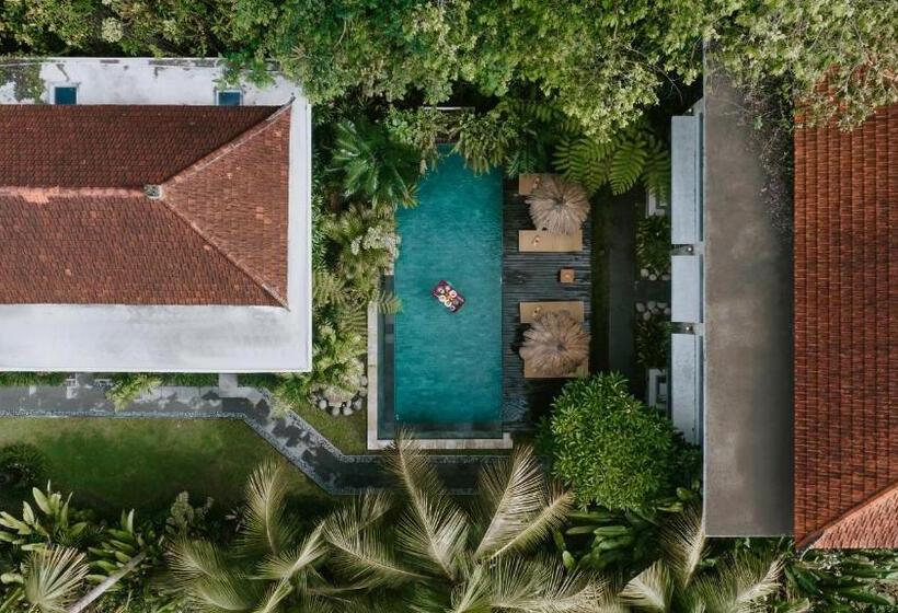 Fotos del hotel The Umari:  8