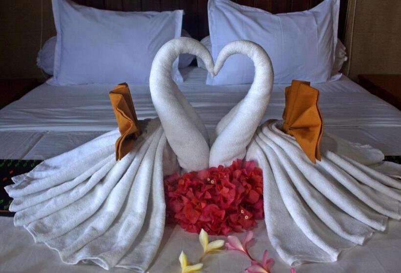 Fotos del hotel Exotic Komodo:  17