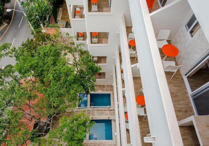 Fotos del hotel Casa Del árbol Condo:  3