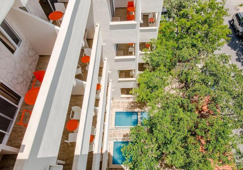 Fotos del hotel Casa Del árbol Condo:  17