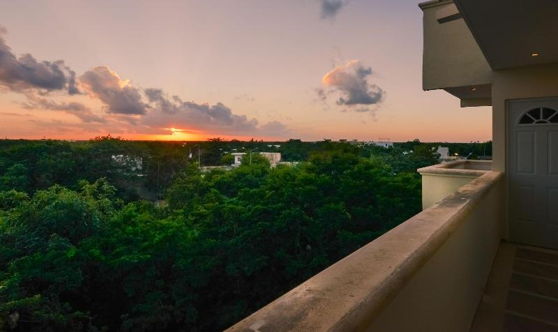 Fotos del hotel Casa Del árbol Condo:  8