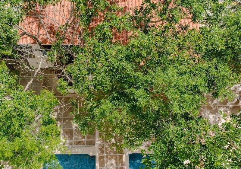 Fotos del hotel Casa Del árbol Condo:  18