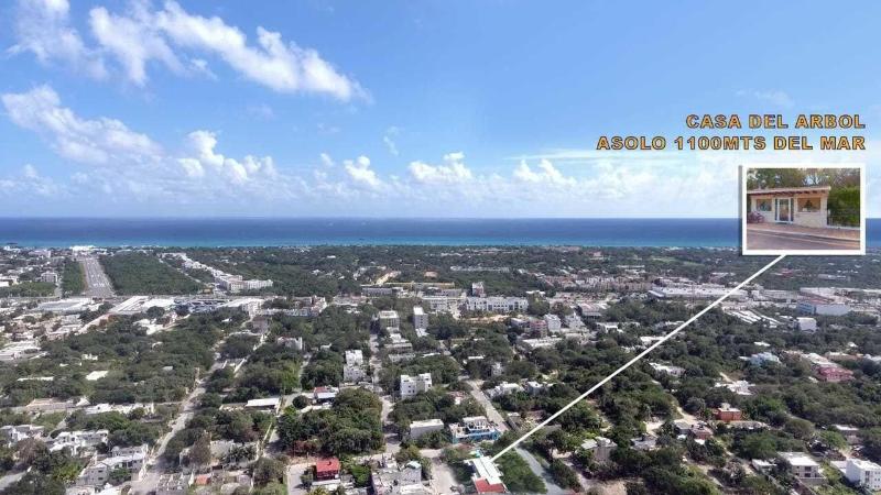 Fotos del hotel Casa Del árbol Condo:  4