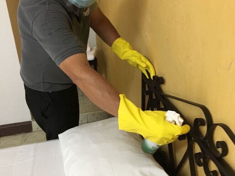 Fotos del hotel Mucuy:  8