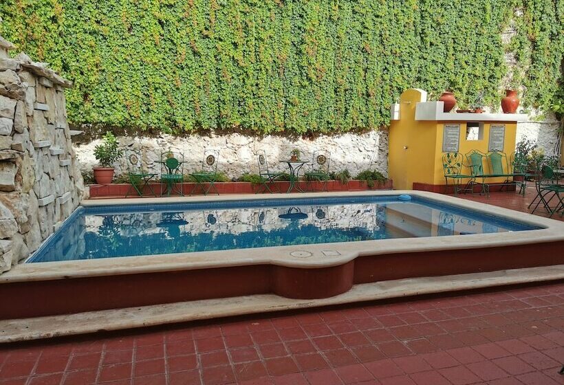 Fotos del hotel Mucuy:  12