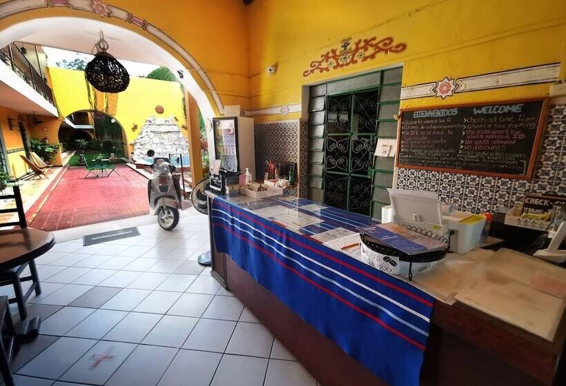 Fotos del hotel Mucuy:  19