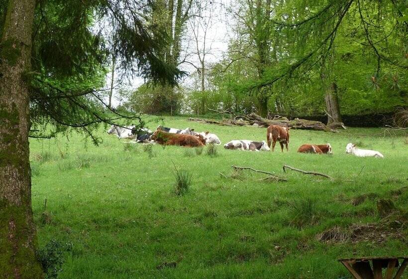 Fotos del hotel Blenheim Lodge:  5