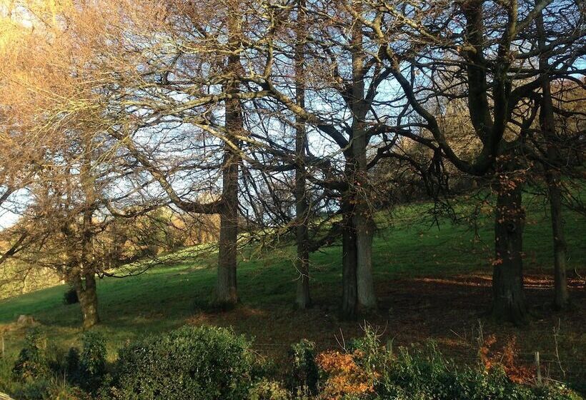 Fotos del hotel Blenheim Lodge:  7