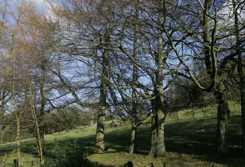 Fotos del hotel Blenheim Lodge:  3