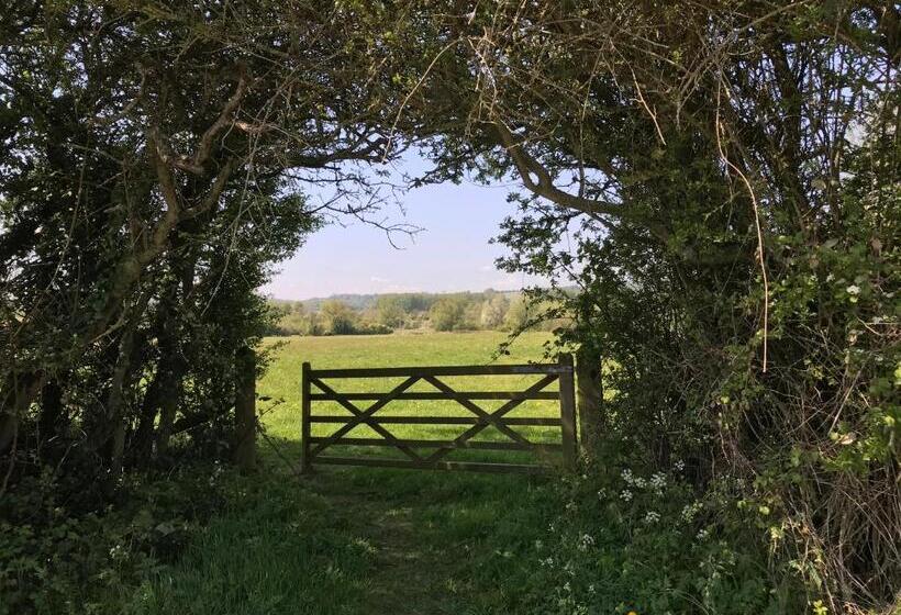 Fotos del hotel Coombe House:  12