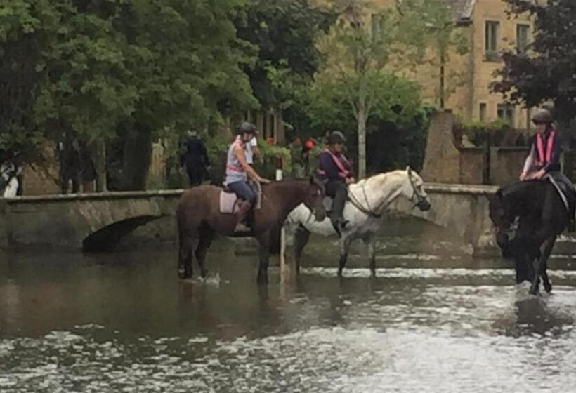 Fotos del hotel Coombe House:  6