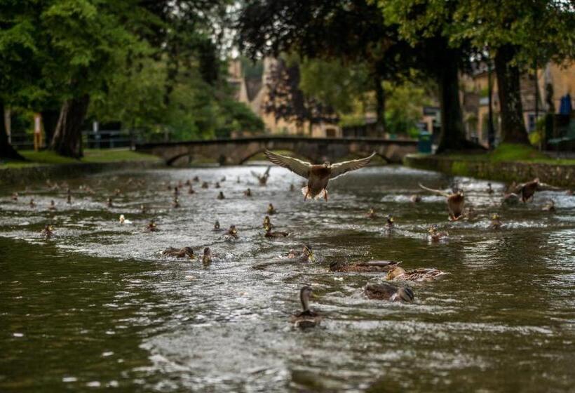 Fotos del hotel Coombe House:  18